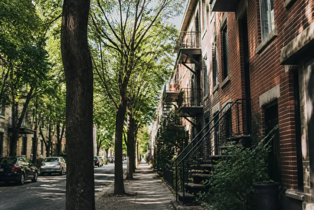 Immeubles de briques et arbres bordant une rue calme