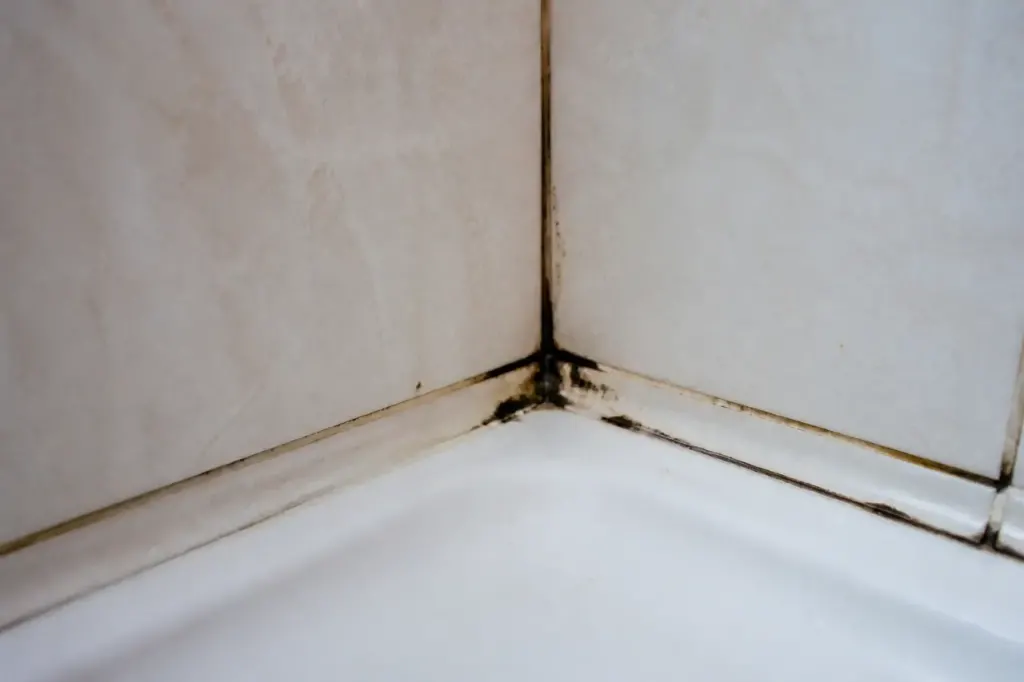 Joints de carrelage noircis dans un coin de douche