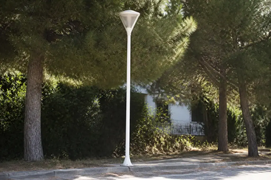 Lampadaire blanc sur un trottoir au pied de pins