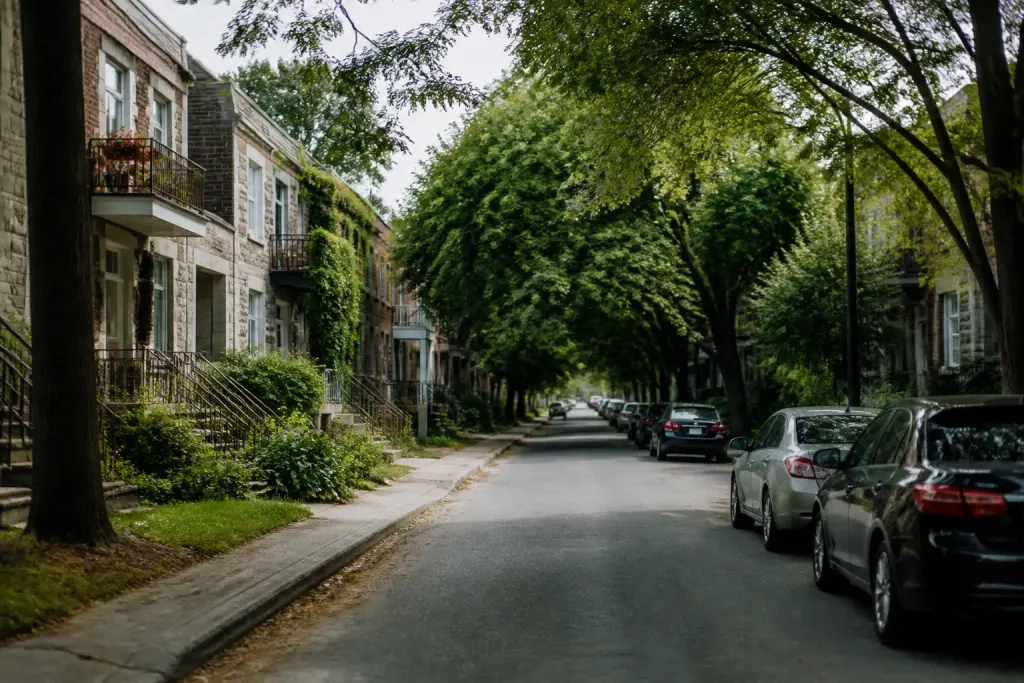 Rue residentielle bordee de maisons avec arbres et voitures