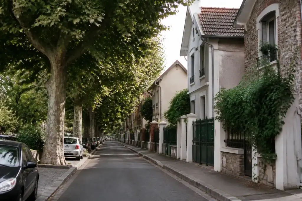 Rue residentielle calme bordee de platanes et de maisons