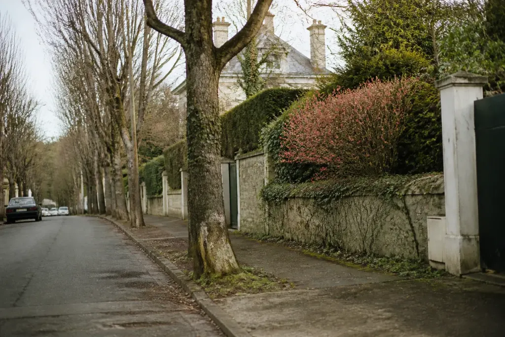 Rue residentielle maisons jardins arbres banlieue