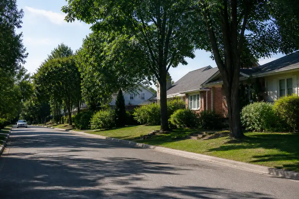 Rue residentielle maisons et arbres en banlieue